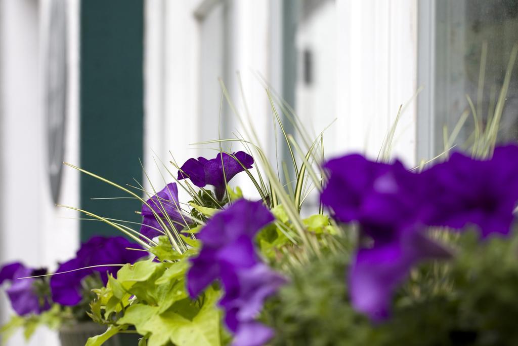 Ferienwohnung Haus am Giebel Heimbach Exterior foto